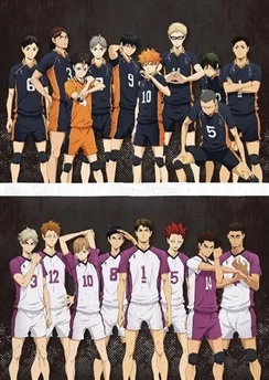 Волейбол!! 3 / Haikyuu!!: Karasuno Koukou vs. Shiratorizawa Gakuen Koukou (2016) [1-10 из 10]