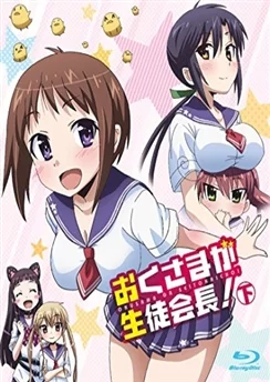 Моя жена — президент студенческого совета! / Okusama ga Seitokaichou! (2015) [1-12 из 12]