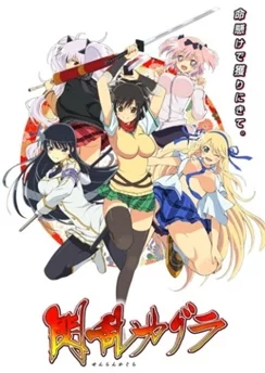 Секретное назначение девушек-ниндзя / Senran Kagura (2013) [1-12 из 12]